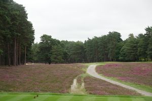 Sunningdale (New) 11th